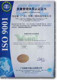 ISO9001質量體系認證